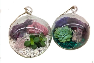 Plant Nite: 2 Hanging Globes with Crystals